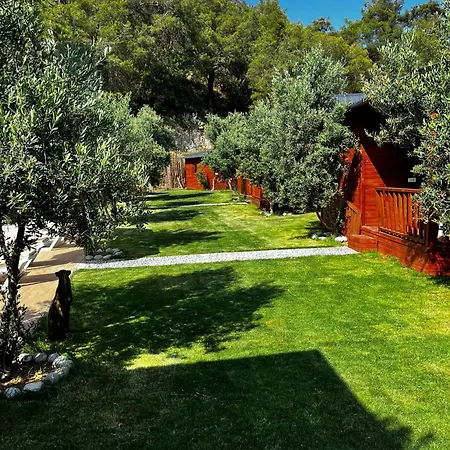 Obelix * 费特希耶